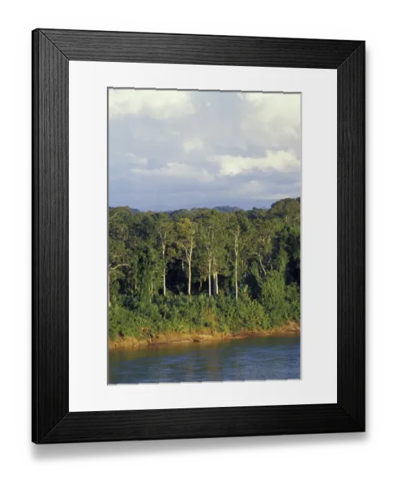 Framed Print : South America, Peru, Tambopata River, banks of the river, deep in the Peruvian Amazon s