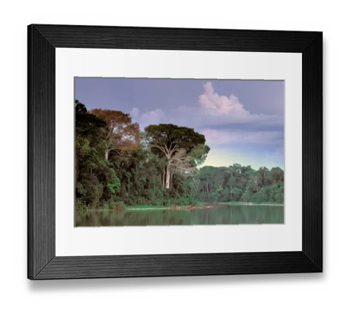 Framed Print : South America, Peru, Manu National Park, Rainforest. Manu river landscape Framed Print : South America, Peru, Manu National Park, Rainforest. Manu river landscape