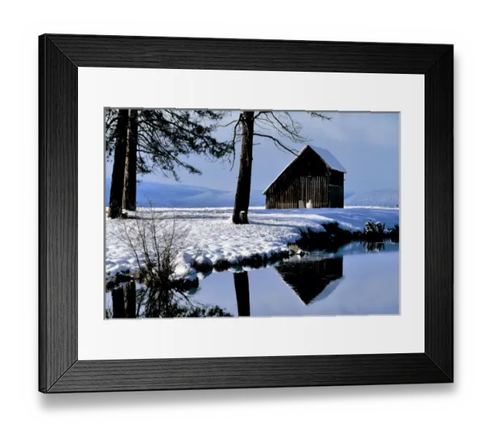 Framed Print : USA, Oregon, Klamath Co. A white horse waits by an old barn in winter in Klamath County