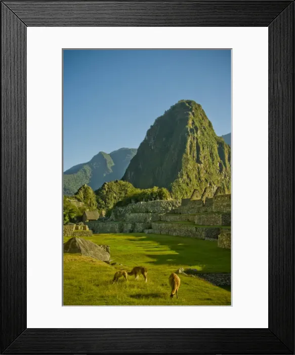 Framed Print : Ancient Machu Picchu, last refuge of the vanished Inca civilization in the Andes Mountains Framed Print : Ancient Machu Picchu, last refuge of the vanished Inca civilization in the Andes Mountains