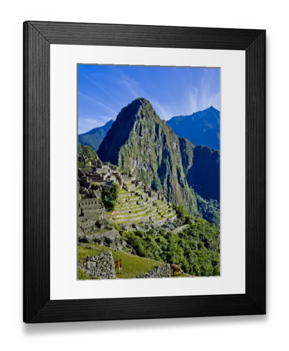 Framed Print : Ancient Machu Picchu, last refuge of the vanished Inca civilization in the Andes Mountains Framed Print : Ancient Machu Picchu, last refuge of the vanished Inca civilization in the Andes Mountains