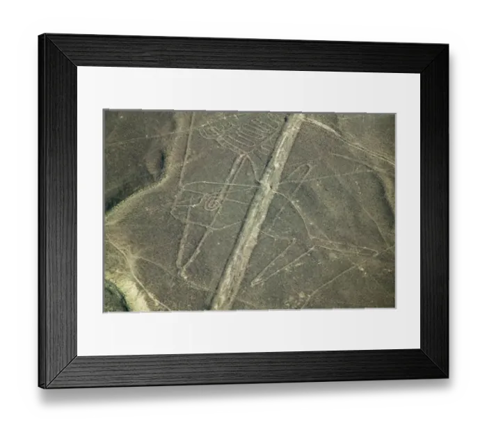 Framed Print : Aerial view of whale drawing, Nazca Lines, Peru Framed Print : Aerial view of whale drawing, Nazca Lines, Peru