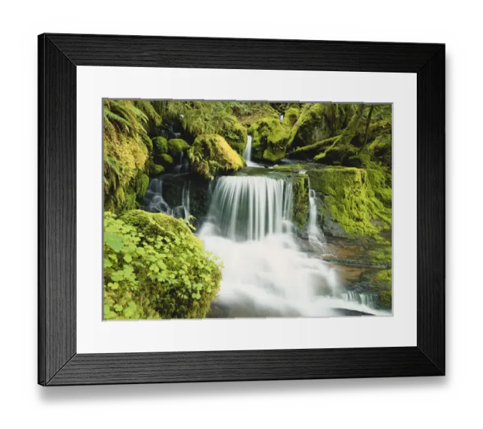 Framed Print : 08. Oregon, Waterfall in Willamette national forest
