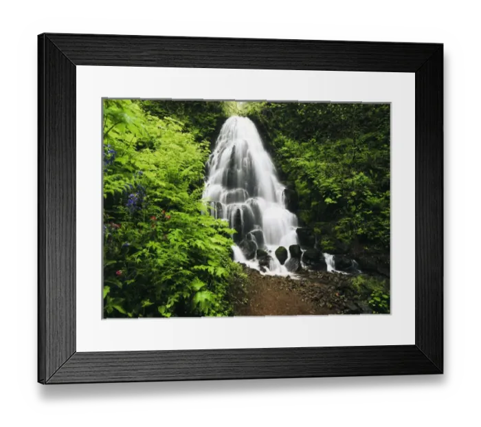 Framed Print : USA, Oregon, View of fairy falls and wildflowers at Columbia River Gorge Framed Print : USA, Oregon, View of fairy falls and wildflowers at Columbia River Gorge