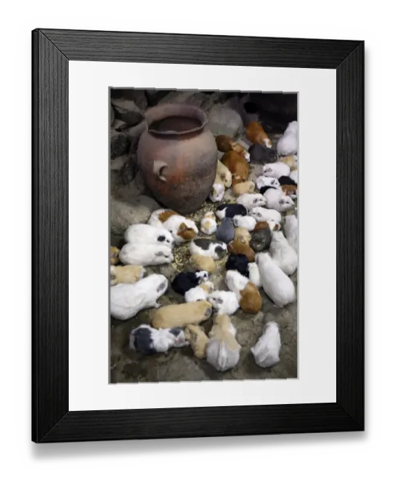 Framed Print : South America, Latin America, Peru, Urubamba Valley. A typical Quechuan home, with Framed Print : South America, Latin America, Peru, Urubamba Valley. A typical Quechuan home, with