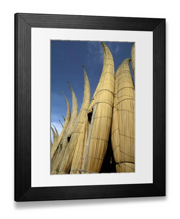 Framed Print : South America, Peru, Huanchaco. Cabillitos de totora, reed boats