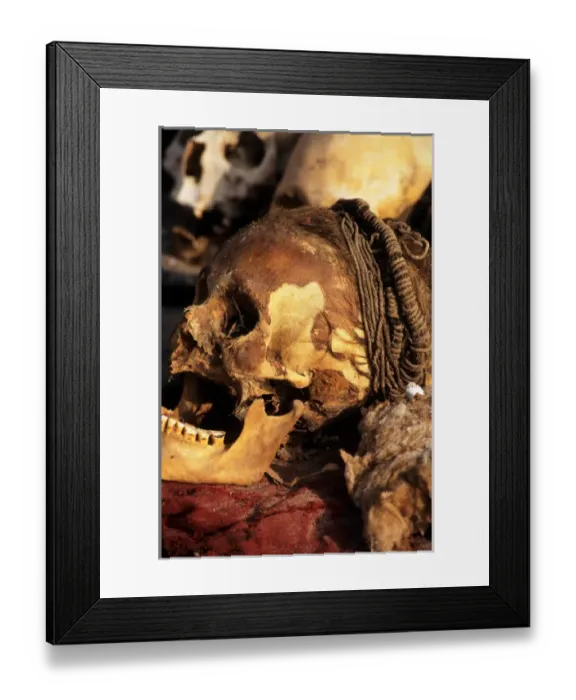Framed Print : near Nasca, Peru. Skull with braided hair and skin, showing teeth badly worn down Framed Print : near Nasca, Peru. Skull with braided hair and skin, showing teeth badly worn down