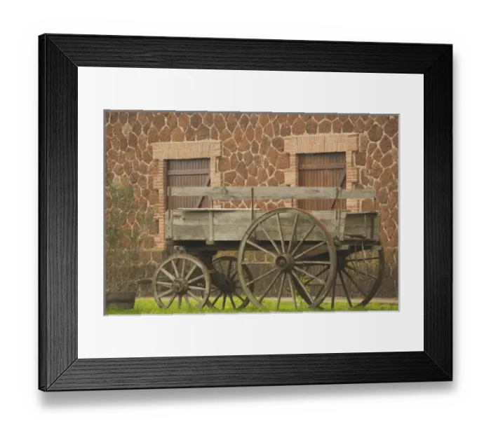 Framed Print : Vineyards in Fall Colors, Juanico Winery, Uruguays largest and most award-winning