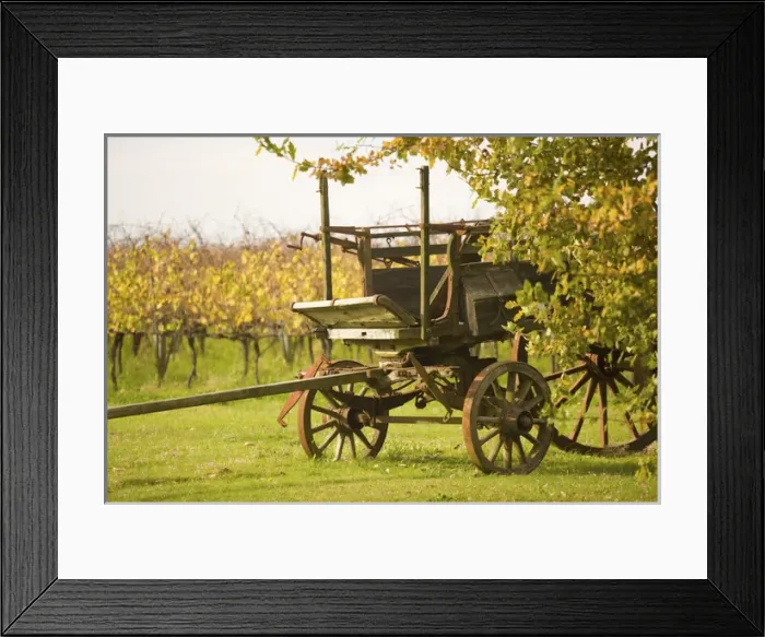 Framed Print : Juanico Winery, Uruguays largest and most award-winning Winery 38km North of of Montevideo Framed Print : Juanico Winery, Uruguays largest and most award-winning Winery 38km North of of Montevideo