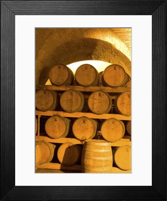 Framed Print : 19th Century Wine Cellar, Juanico Winery, Uruguays largest and most award-winning Framed Print : 19th Century Wine Cellar, Juanico Winery, Uruguays largest and most award-winning