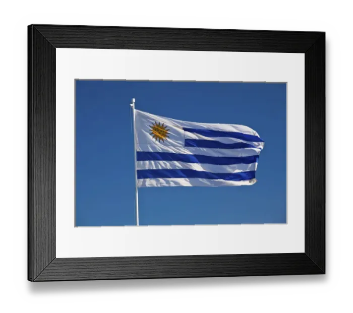Framed Print : URUGUAY, Maldonado Department, Punta Ballena. Uruguayan flag