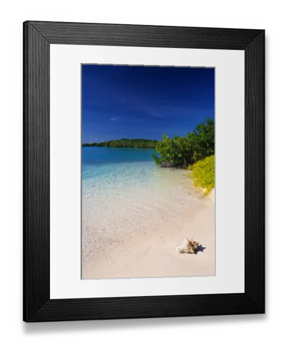 Framed Print : Venezuela, Los Roques, Lanqui Framed Print : Venezuela, Los Roques, Lanqui