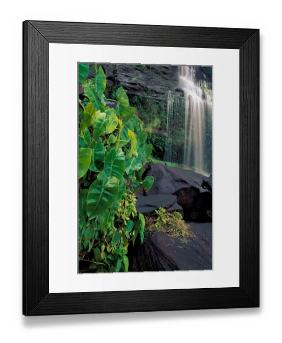 Framed Print : SA, Venezuela, Canaima National Park, Hacha Falls Framed Print : SA, Venezuela, Canaima National Park, Hacha Falls