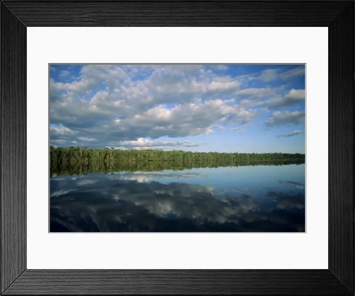 Framed Print : Amazon; forested river bank reflected in the water with clouds in the sky