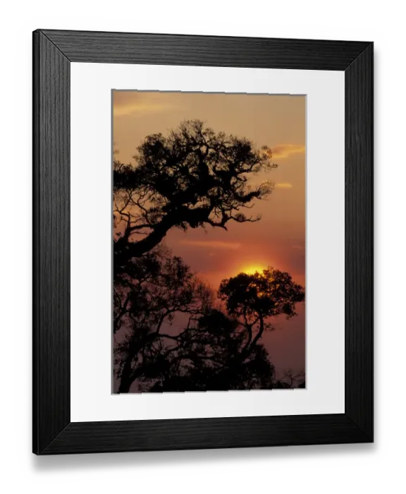 Framed Print : CENTRAL AMERICA, Costa Rica Costa Rican sunset with trees Framed Print : CENTRAL AMERICA, Costa Rica Costa Rican sunset with trees