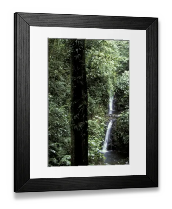 Framed Print : CA, Costa Rica, Monteverde Cloud Forest Reserve Landscape