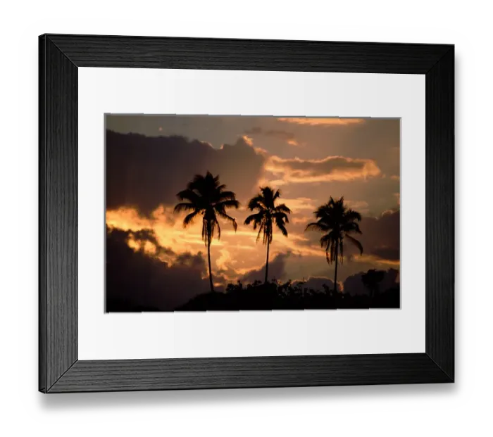 Framed Print : Central America - Costa Rica - Tortuguero National Park - Caribbean Coast sunset