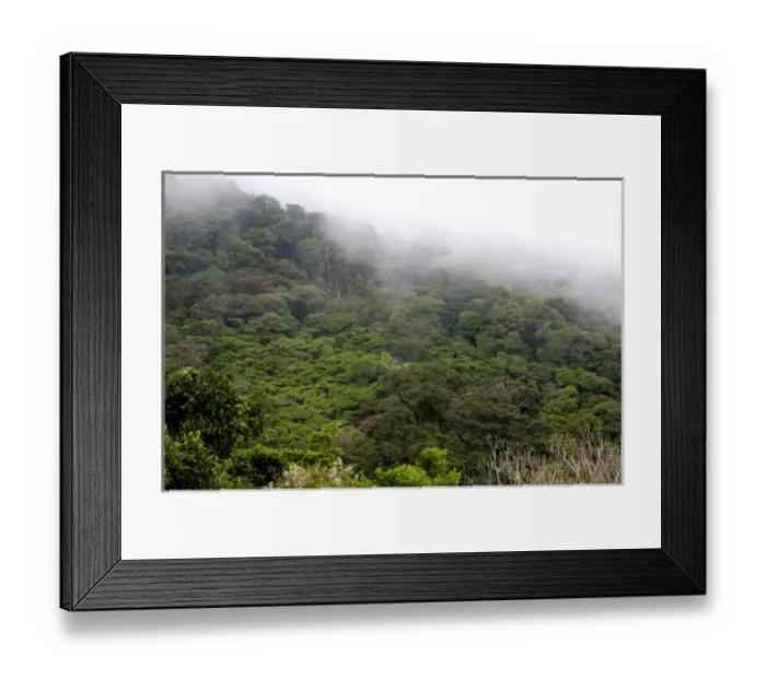 Framed Print : Mist hanging over the Monteverde Cloud Forest Preserve at Monteverde, Costa Rica