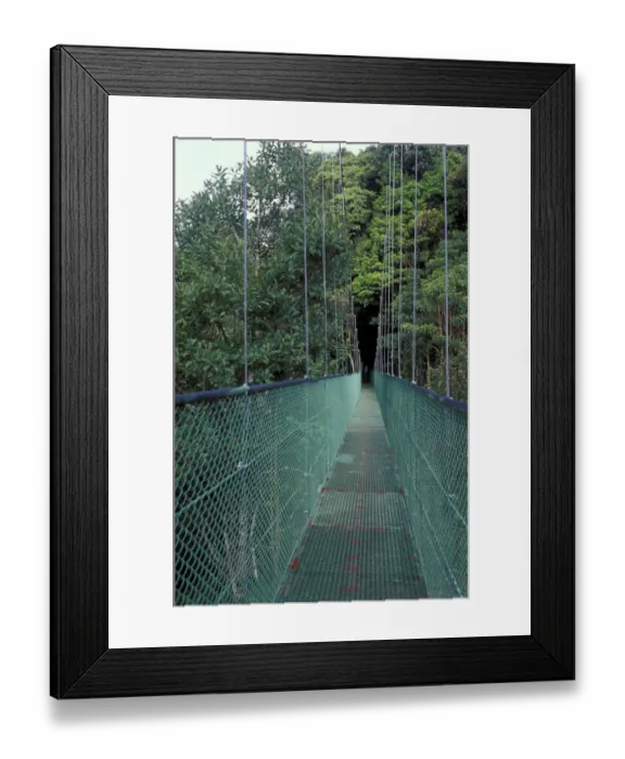 Framed Print : Central America, Costa Rica, Tilaran Mountains, Monteverde Cloud Forest Framed Print : Central America, Costa Rica, Tilaran Mountains, Monteverde Cloud Forest