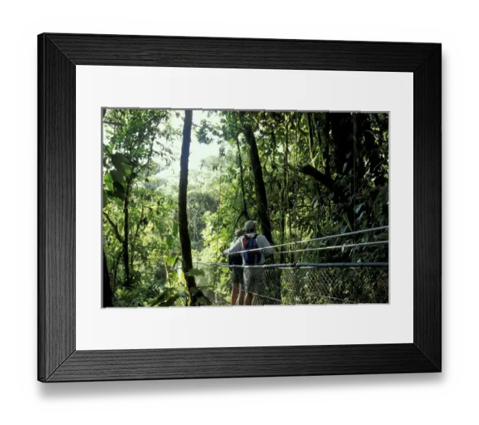 Framed Print : Central America, Costa Rica, Monteverde Cloud Forest Hikers on suspension bridge Framed Print : Central America, Costa Rica, Monteverde Cloud Forest Hikers on suspension bridge