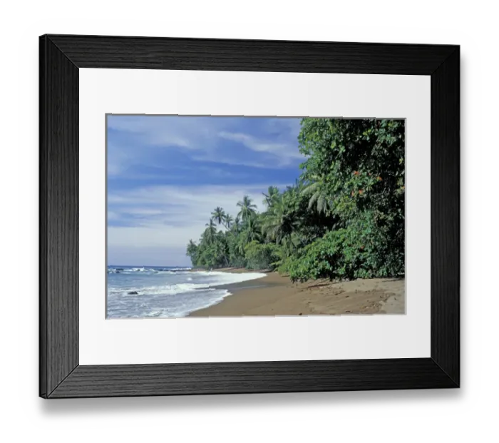 Framed Print : Central America, Costa Rica, Osa Peninsula, Corcovado National Park, San Pedrillo Framed Print : Central America, Costa Rica, Osa Peninsula, Corcovado National Park, San Pedrillo