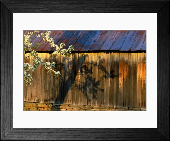 Framed Print : USA, Pennsylvania, Kempton, Pennsylvania Barns, Cherry and Shed Framed Print : USA, Pennsylvania, Kempton, Pennsylvania Barns, Cherry and Shed