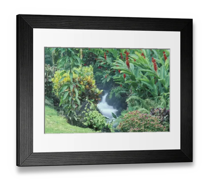 Framed Print : Central America, Costa Rica, Arenal Hot Springs. Tabacon Resort, Hot Spring Gardens Framed Print : Central America, Costa Rica, Arenal Hot Springs. Tabacon Resort, Hot Spring Gardens