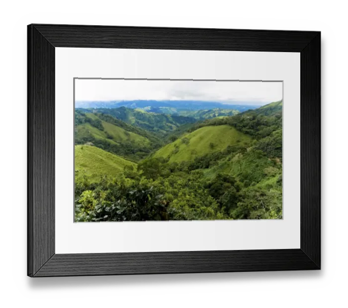 Framed Print : Costa Rica - Los Angeles Cloud Forest Reserve