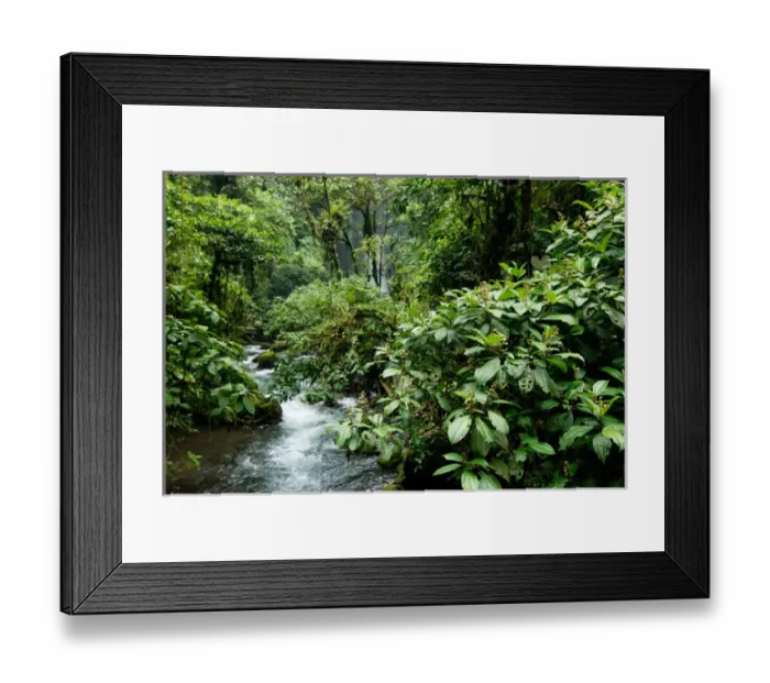Framed Print : Costa Rica, La Paz, rainforest and stream Framed Print : Costa Rica, La Paz, rainforest and stream