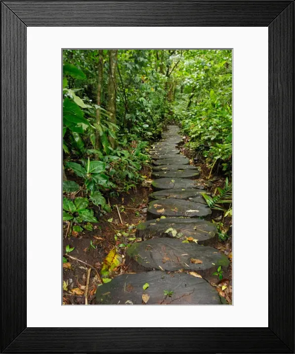 Framed Print : Costa Rica, Arenal Hanging Bridges, rainforest path