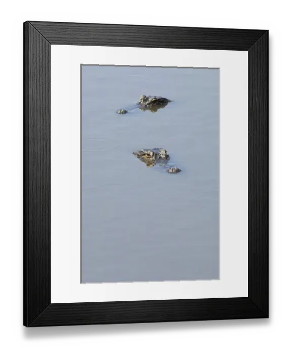 Framed Print : United States; South Carolina; Ace Basin National Estuarine Research Reserve, heads Framed Print : United States; South Carolina; Ace Basin National Estuarine Research Reserve, heads