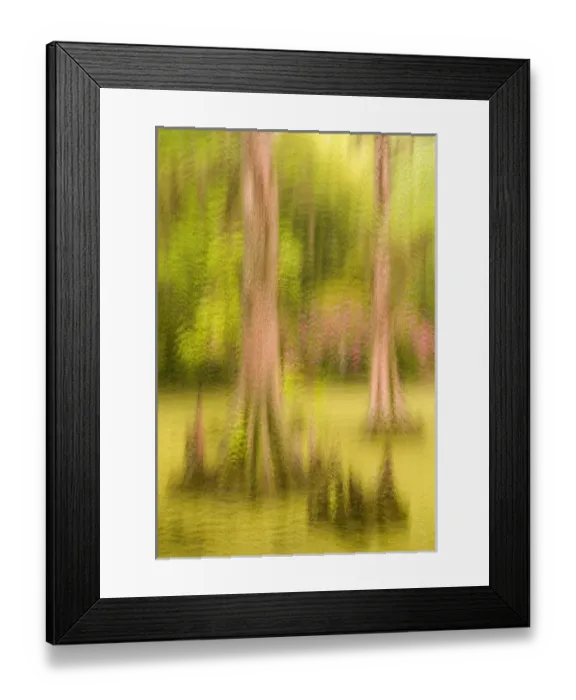 Framed Print : United States; South Carolina; Charleston; Magnolia Plantation, multiple expsoure