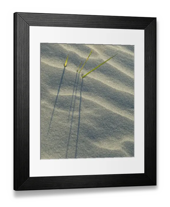 Framed Print : United States; South Carolina; Charleston; Folly Island, grass blades in sand casting