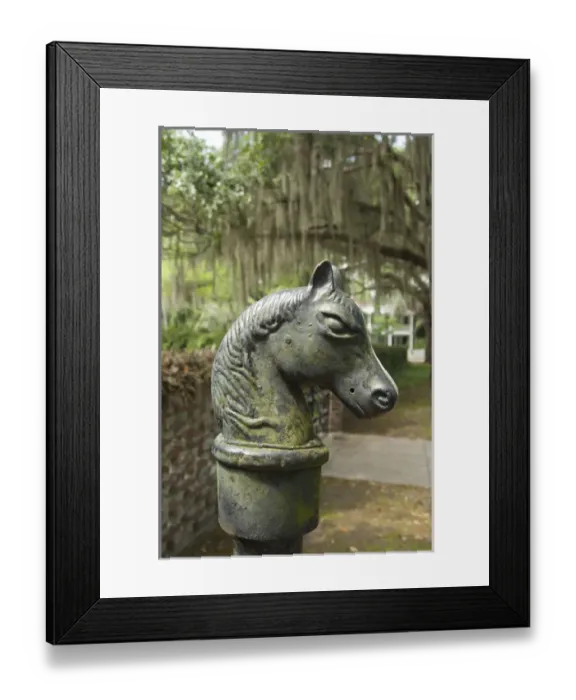 Framed Print : South Carolina, Beaufort. Antique horse head carriage hitch, Southern Live Oak trees Framed Print : South Carolina, Beaufort. Antique horse head carriage hitch, Southern Live Oak trees