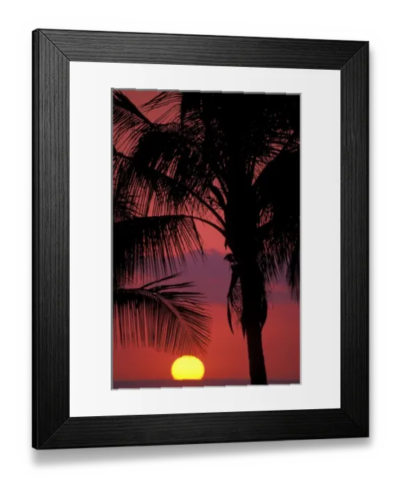 Framed Print : Central America, Costa Rica, Nicoya Peninsula, near Malpais. Sunset and Coconut Palms Framed Print : Central America, Costa Rica, Nicoya Peninsula, near Malpais. Sunset and Coconut Palms