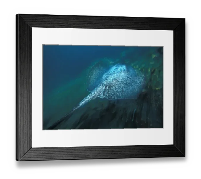 Framed Print : CA, Costa Rica, Cocos Island Marbled Ray (Taeniura meyeici)