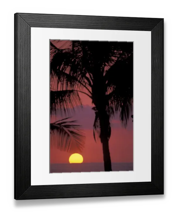 Framed Print : CA, Costa Rica, Nicoya Peninsula, near Malpais Sunset through coconut palms Framed Print : CA, Costa Rica, Nicoya Peninsula, near Malpais Sunset through coconut palms