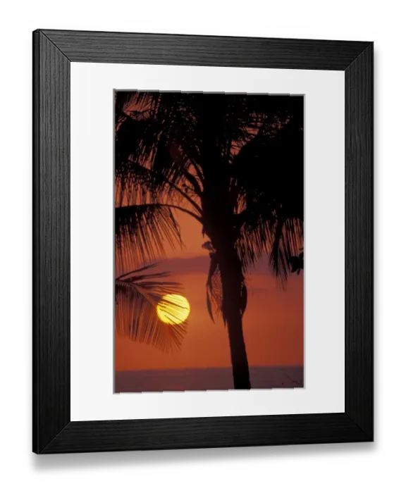 Framed Print : CA, Costa Rica, Nicoya Peninsula, near Malpais Sunset through coconut palms Framed Print : CA, Costa Rica, Nicoya Peninsula, near Malpais Sunset through coconut palms