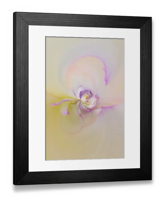 Framed Print : Fantasy version, Dahlia Flowers, Birmingham, AL Framed Print : Fantasy version, Dahlia Flowers, Birmingham, AL
