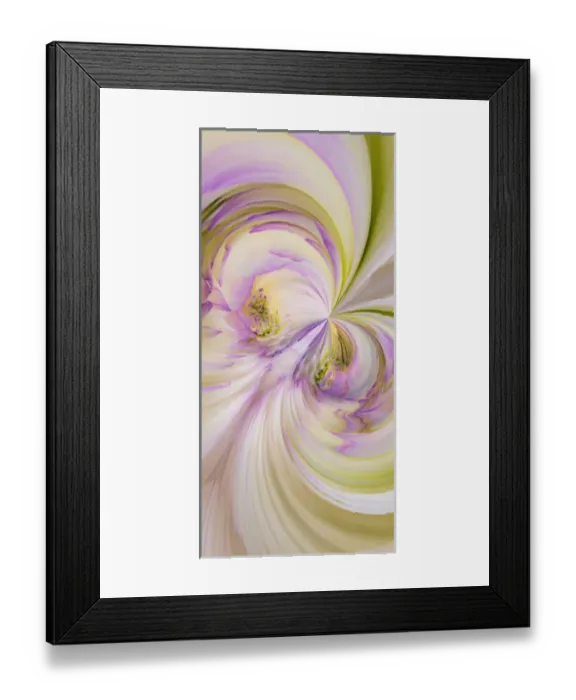 Framed Print : Fantasy version, Dahlia Flowers, Birmingham, AL Framed Print : Fantasy version, Dahlia Flowers, Birmingham, AL