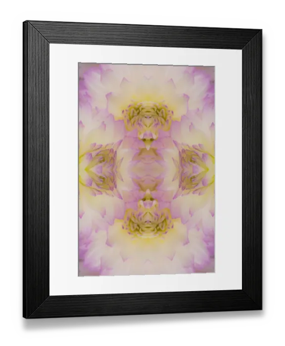 Framed Print : Flipped pattern, Dahlia Flowers, Birmingham, AL Framed Print : Flipped pattern, Dahlia Flowers, Birmingham, AL