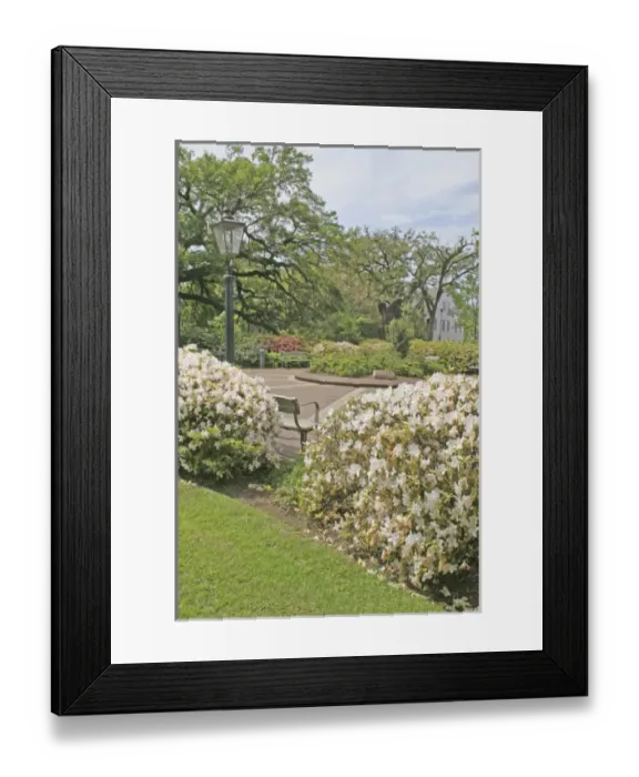 Framed Print : Landscaping at Moorer Plaza Mobile Alabama Framed Print : Landscaping at Moorer Plaza Mobile Alabama