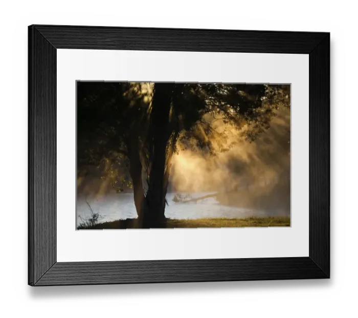 Framed Print : USA, Alabama, Florence. Lake Wilson, morning fog