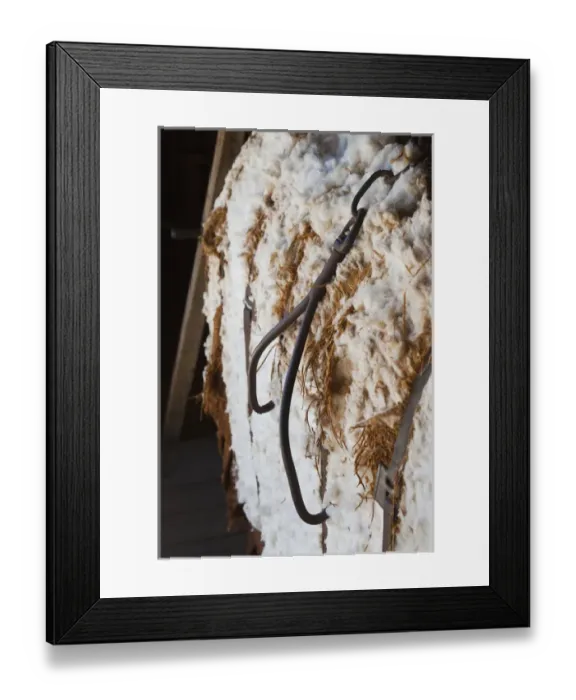 Framed Print : USA, Alabama, Montgomery. Old Alabama Town, cotton