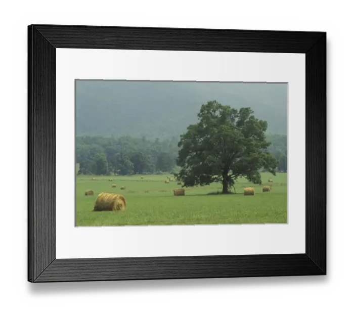 Framed Print : NA, USA, Tennessee, Great Smoky Mountains NP Hay bale and single tree, Cades Cove Framed Print : NA, USA, Tennessee, Great Smoky Mountains NP Hay bale and single tree, Cades Cove