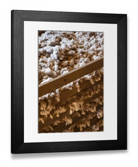Framed Print : USA, Alabama, Montgomery. Old Alabama Town, cotton