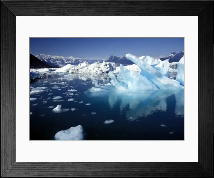 Framed Print : Alaska, Prince William Sound Icebergs floating in Prince William Sound Framed Print : Alaska, Prince William Sound Icebergs floating in Prince William Sound