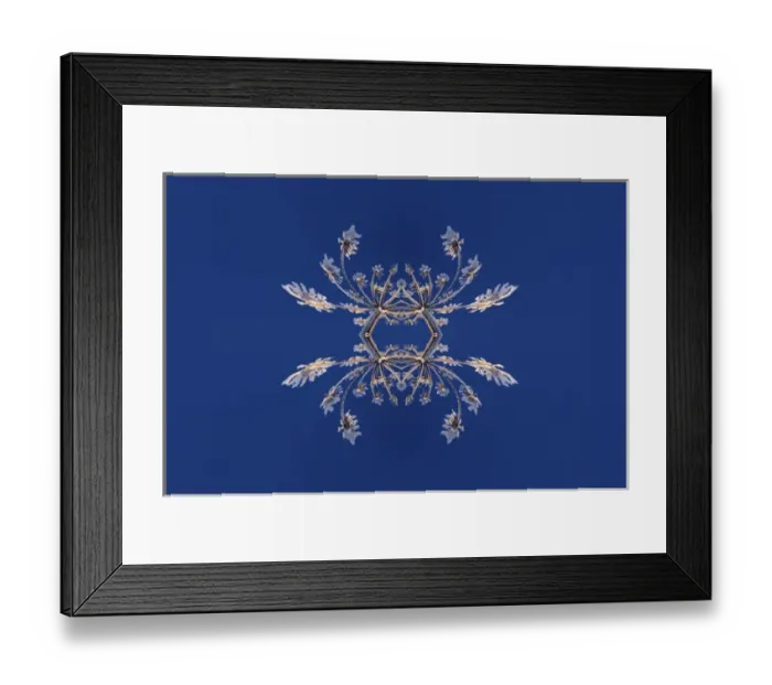 Framed Print : Fantasy version, Skyward view of Cow Parsnip in winter covered in morning frost, Homer Framed Print : Fantasy version, Skyward view of Cow Parsnip in winter covered in morning frost, Homer