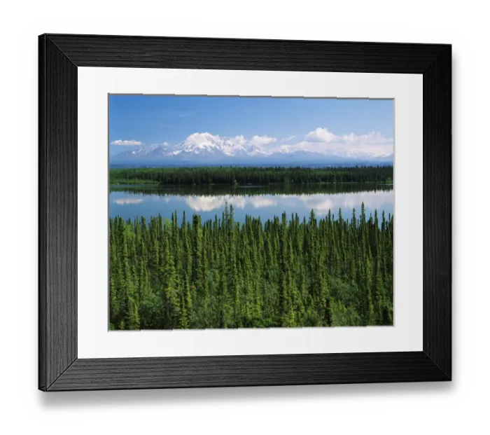 Framed Print : USA, Alaska, Willow lake and Mt Wrangell in Wrangellaa'St. Elias National Park Framed Print : USA, Alaska, Willow lake and Mt Wrangell in Wrangellaa'St. Elias National Park