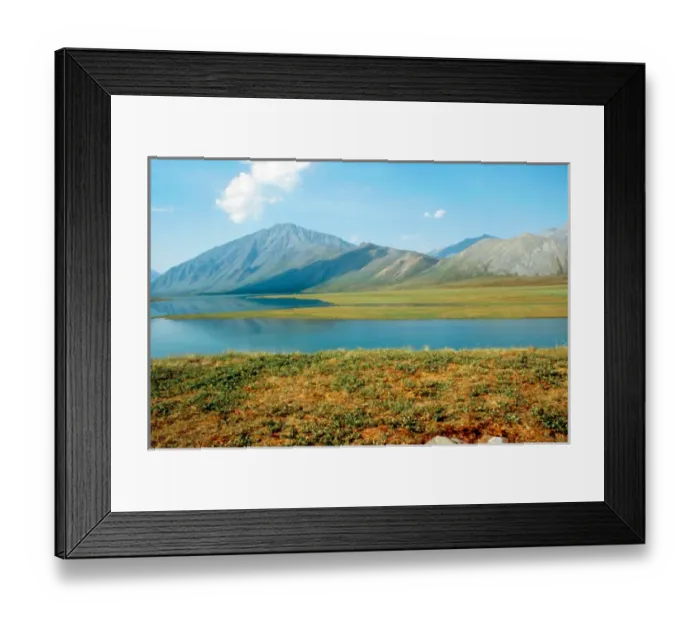 Framed Print : Franklin Mts. from the west shore of Peters Lake, ANWR, Alaska, July 1990 Framed Print : Franklin Mts. from the west shore of Peters Lake, ANWR, Alaska, July 1990